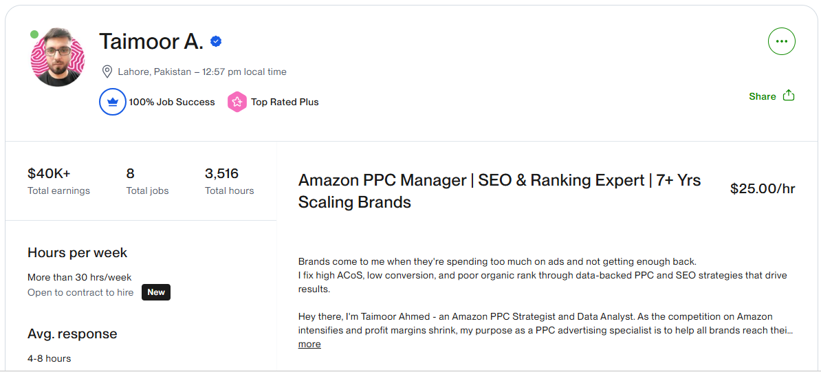 Taimoor Ahmed – Upwork Profile Preview